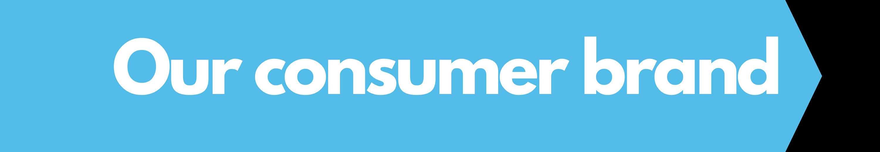 Our Consumer Brand
