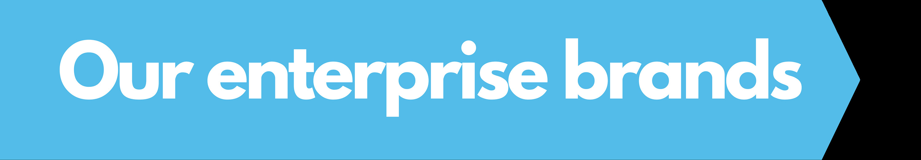 Our Enterprise Brands
